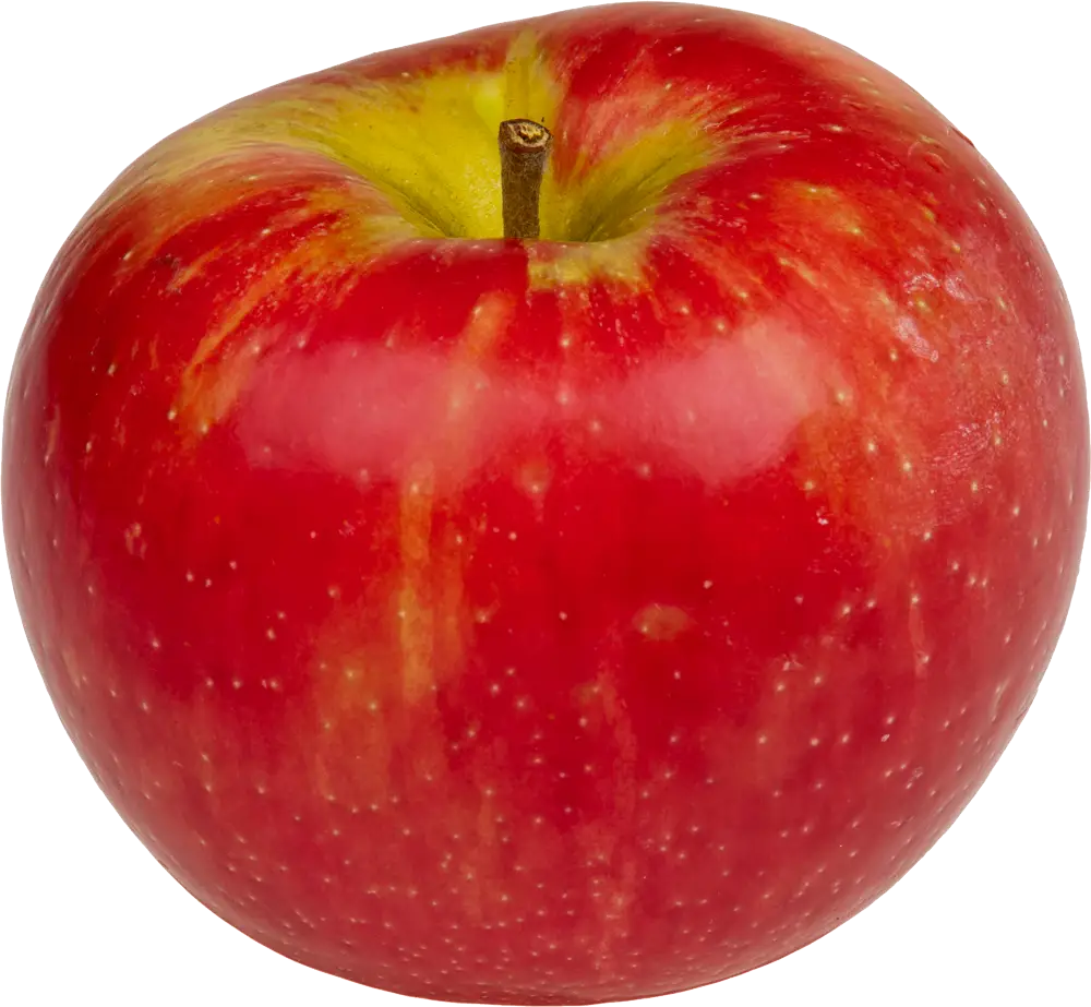 apple_PNG12407